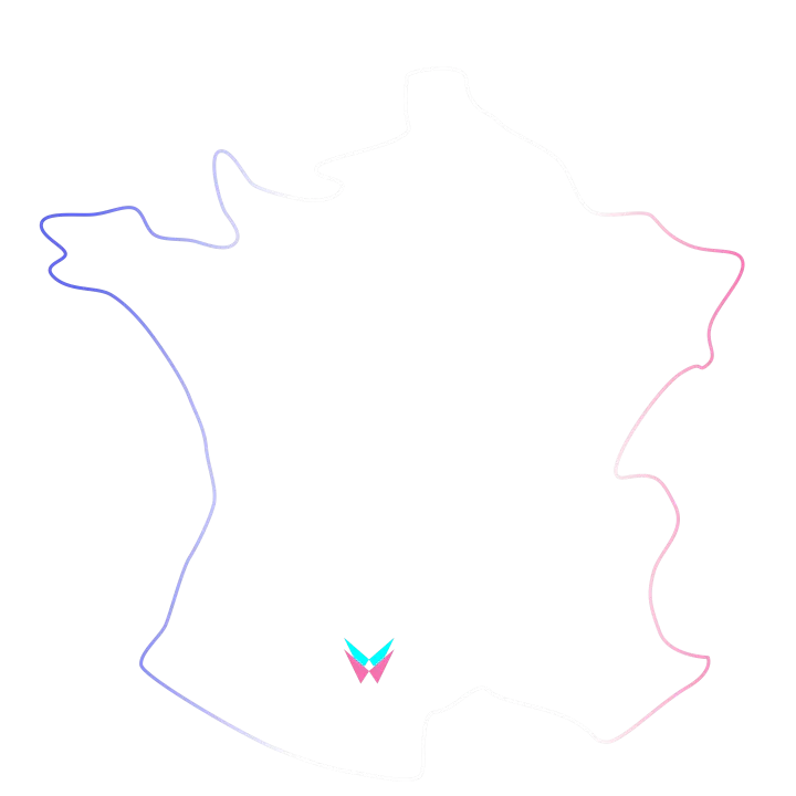 Carte de France au trait, avec l’emblème TwinWorks sur Toulouse
