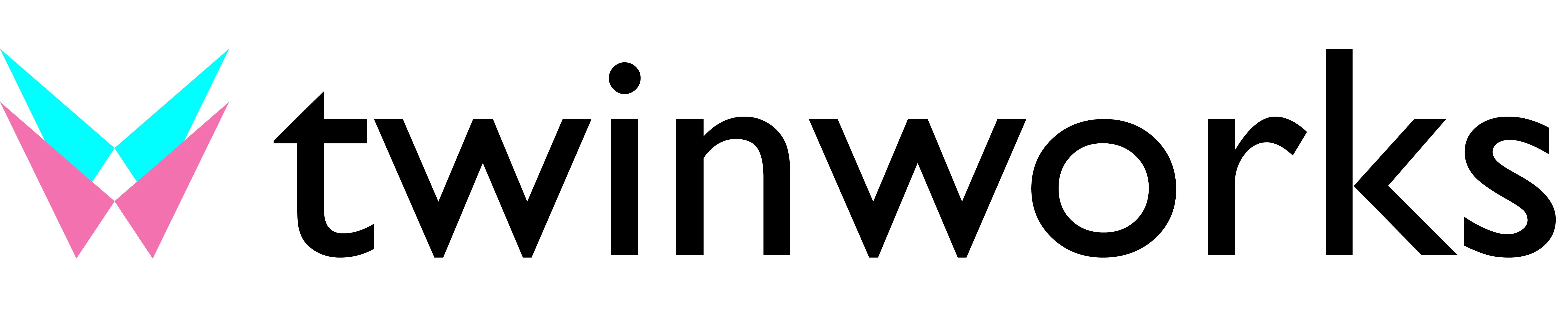 TwinWorks Logo